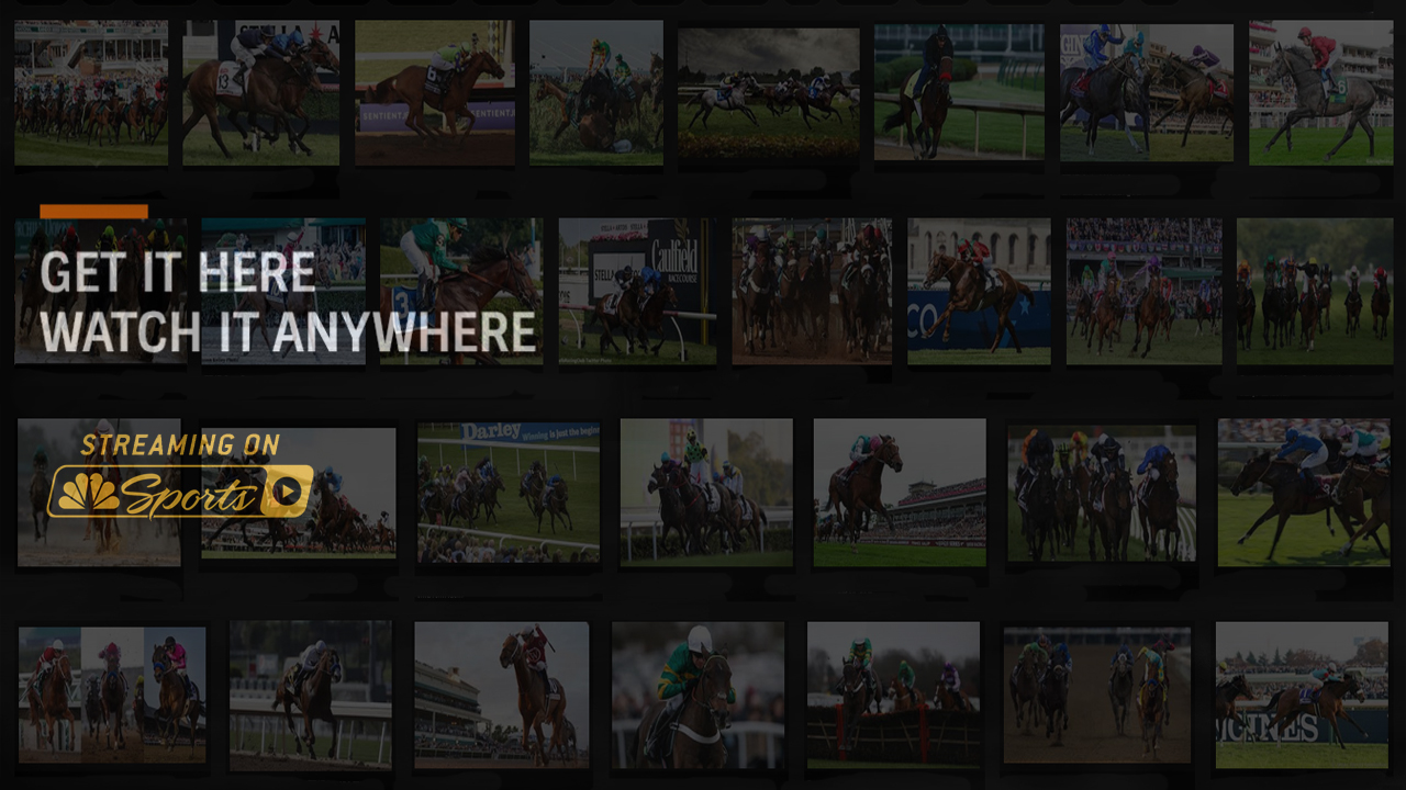 horse-racing